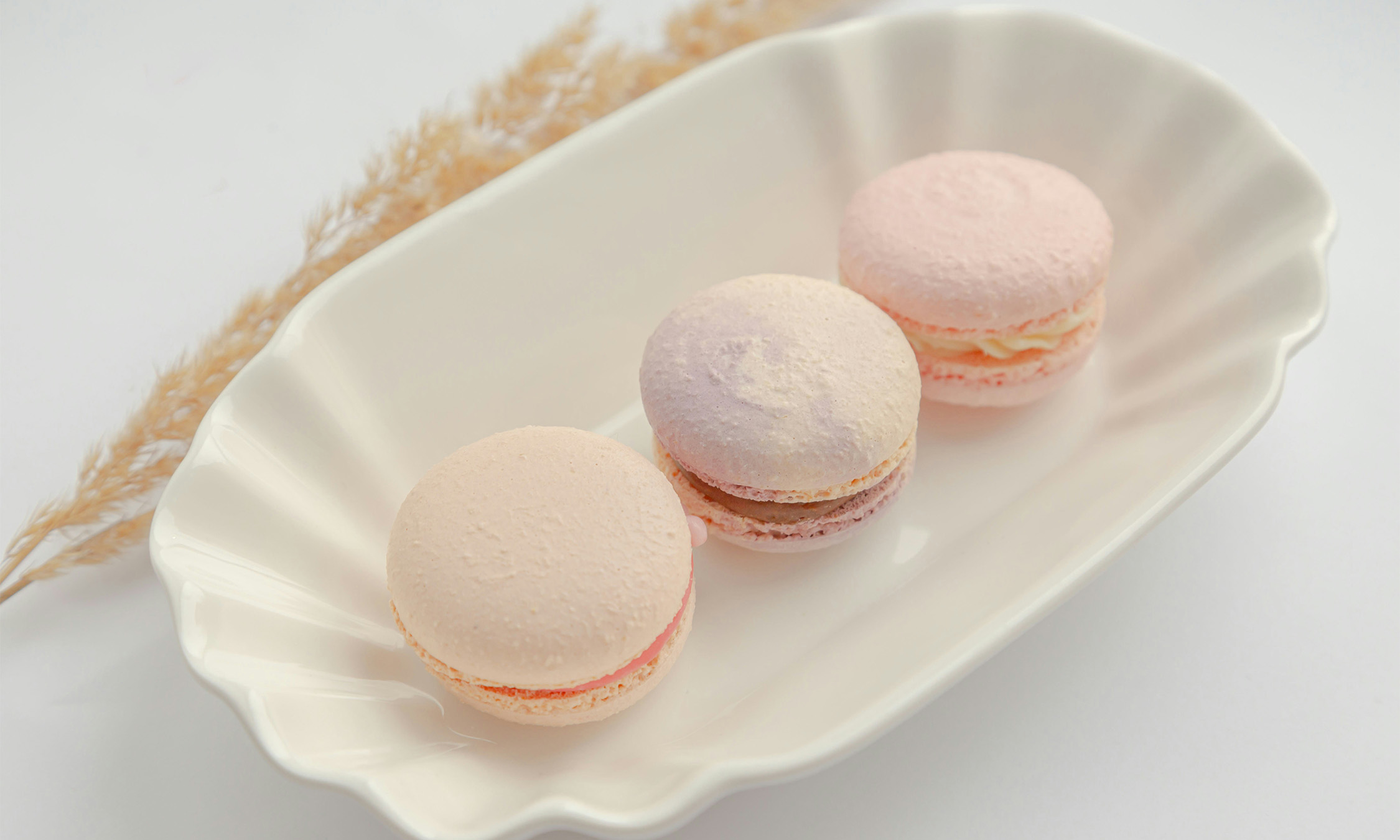 A plate with three pink macarons on it. 
